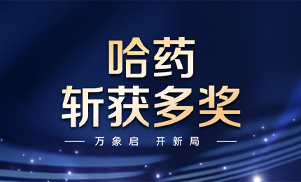 【喜讯】万象启，开新局，公司斩获多枚奖项